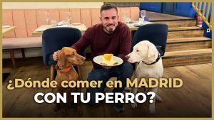 restaurantes dog friendly de Madrid